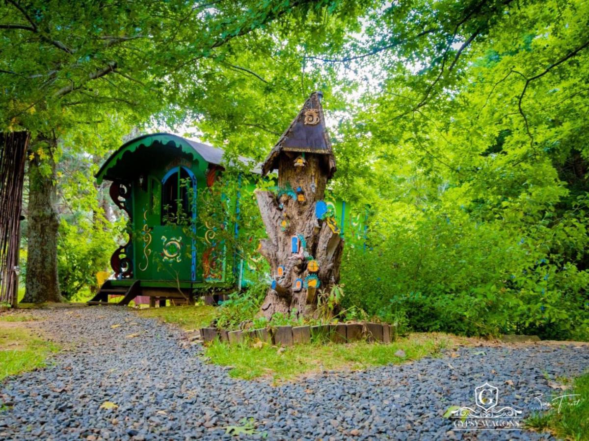 Gypsy Wagons And Vans, Clarens Ruang foto